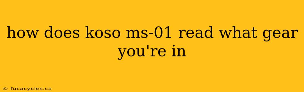 how does koso ms-01 read what gear you're in