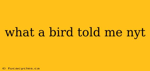 what a bird told me nyt