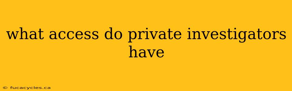 what access do private investigators have