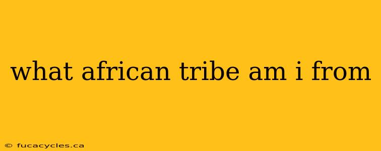 what african tribe am i from