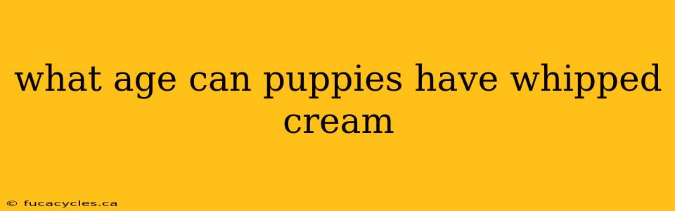 what age can puppies have whipped cream