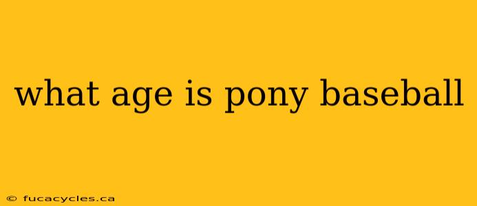 what age is pony baseball