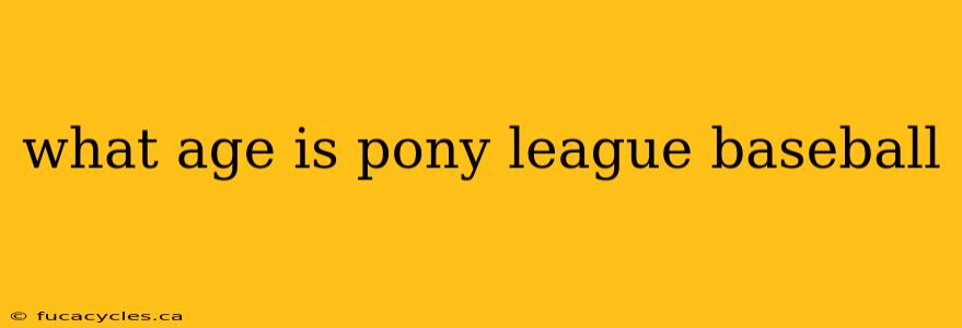 what age is pony league baseball