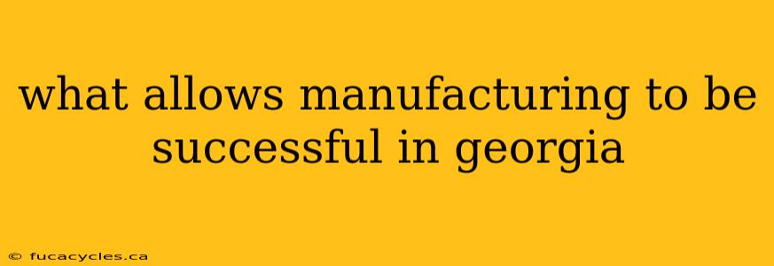 what allows manufacturing to be successful in georgia