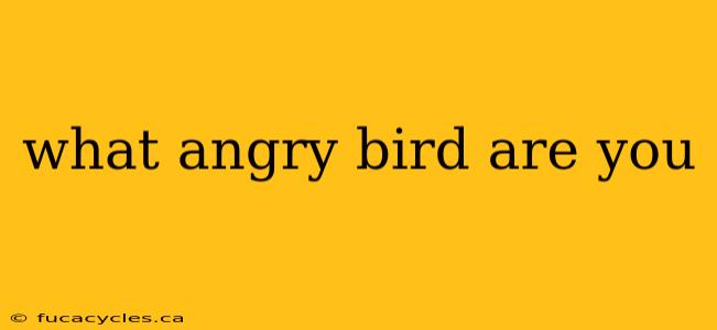 what angry bird are you