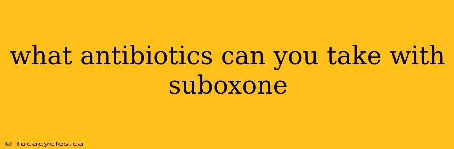 what antibiotics can you take with suboxone