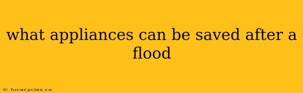 what appliances can be saved after a flood