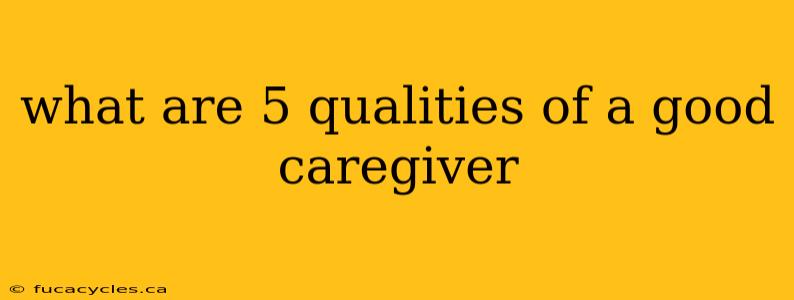 what are 5 qualities of a good caregiver