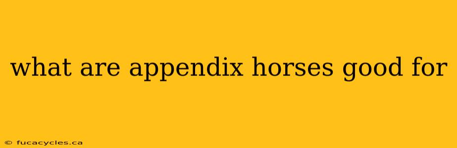 what are appendix horses good for