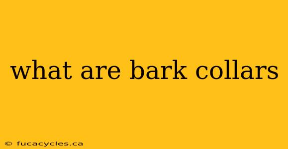 what are bark collars