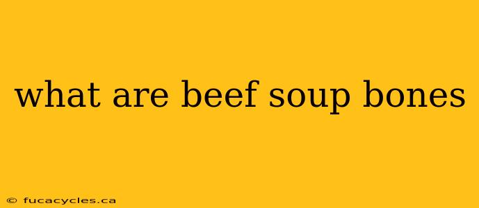 what are beef soup bones