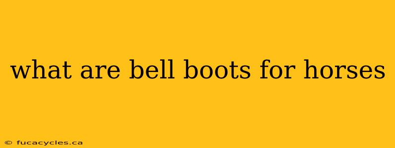 what are bell boots for horses