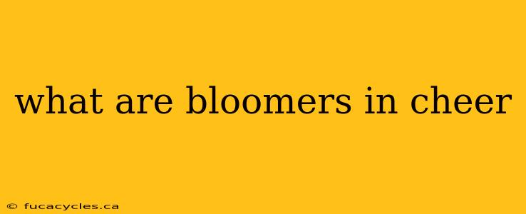 what are bloomers in cheer