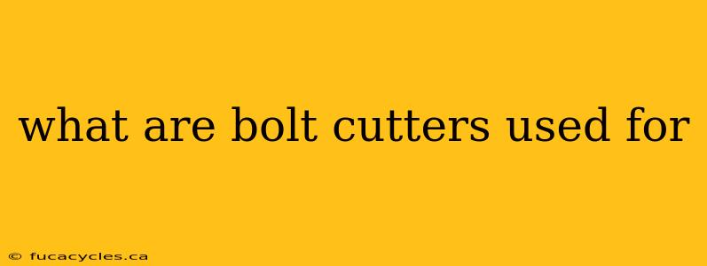 what are bolt cutters used for