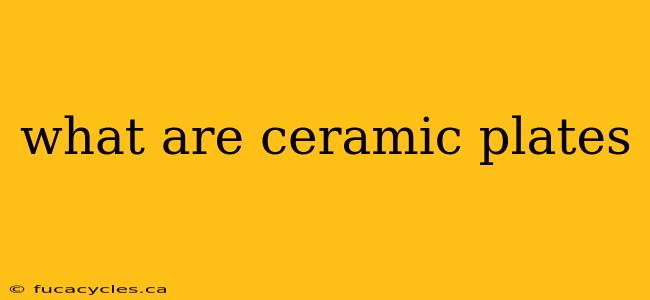 what are ceramic plates