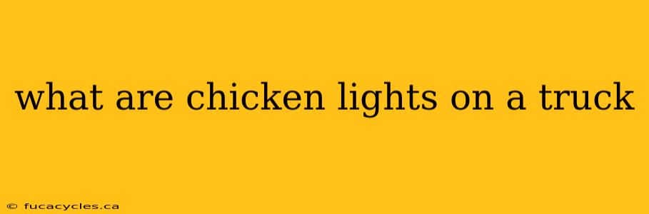 what are chicken lights on a truck