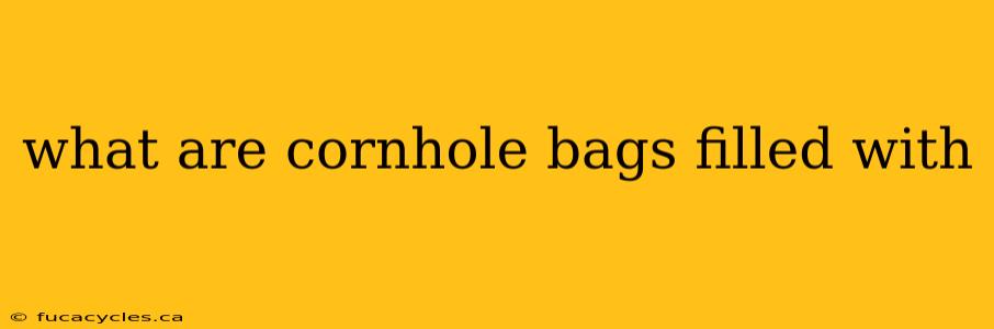 what are cornhole bags filled with