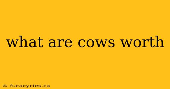 what are cows worth