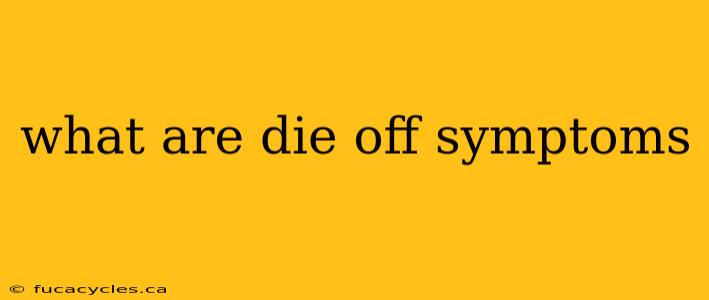 what are die off symptoms