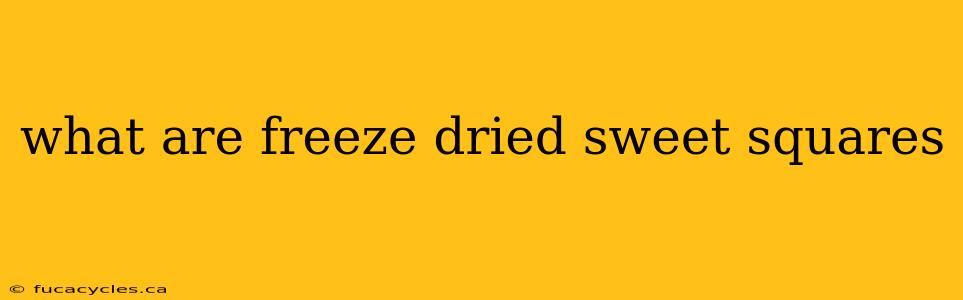 what are freeze dried sweet squares