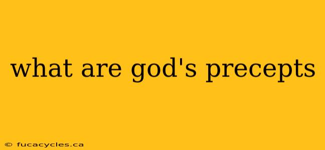 what are god's precepts