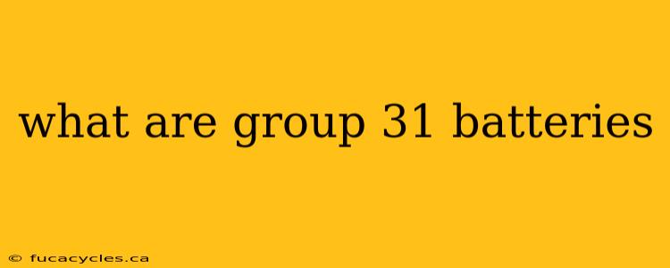 what are group 31 batteries