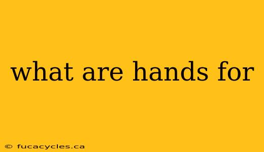 what are hands for