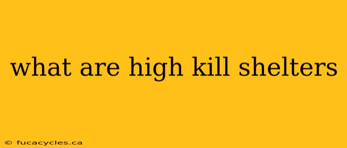 what are high kill shelters