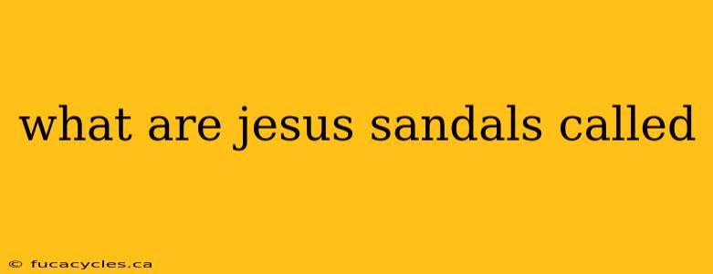 what are jesus sandals called