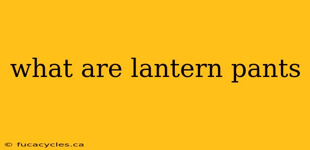 what are lantern pants