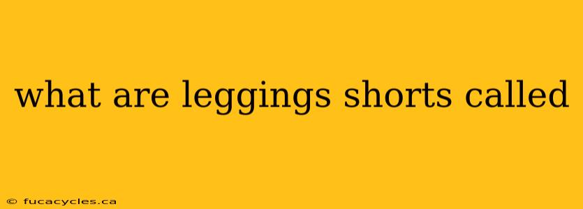 what are leggings shorts called