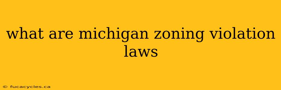 what are michigan zoning violation laws