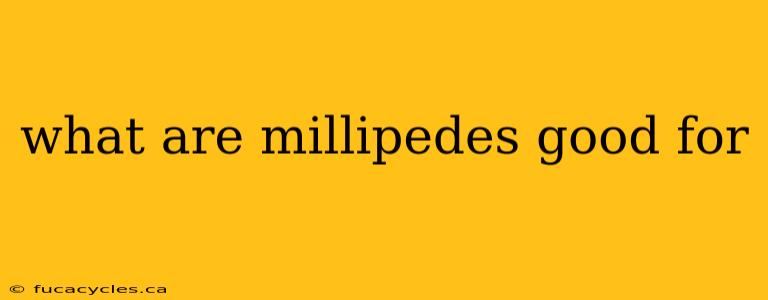 what are millipedes good for