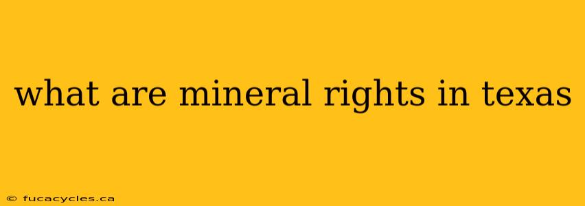 what are mineral rights in texas