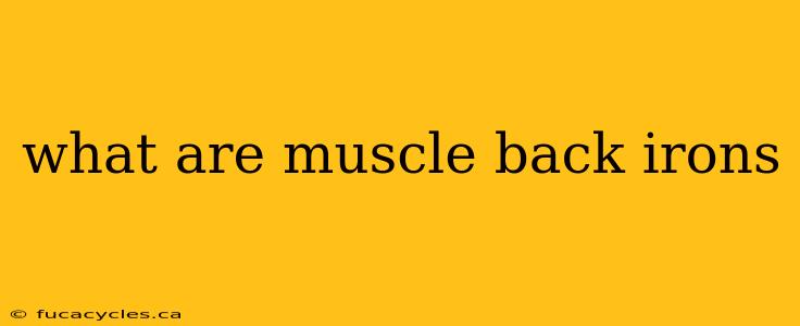 what are muscle back irons