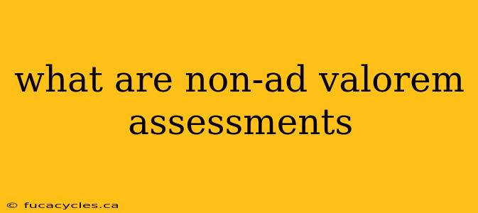 what are non-ad valorem assessments