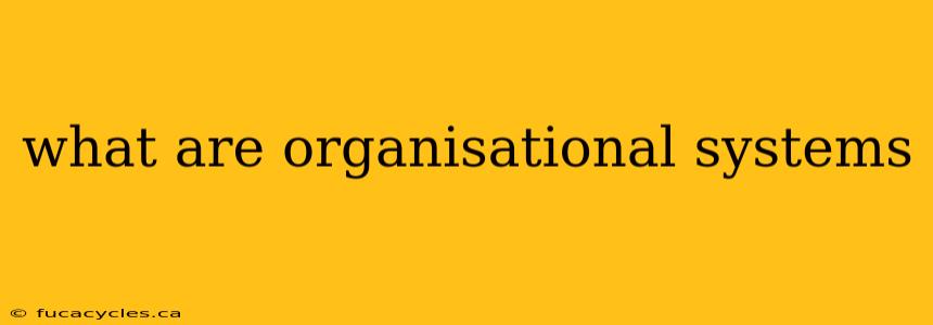 what are organisational systems