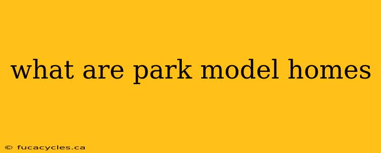 what are park model homes