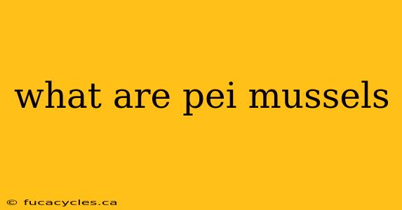 what are pei mussels