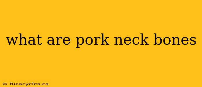 what are pork neck bones