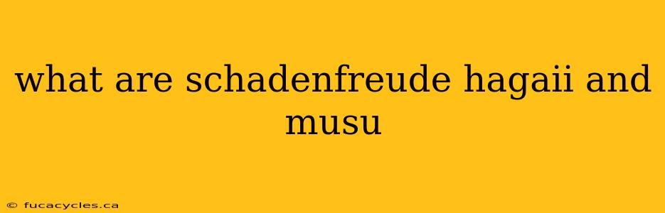 what are schadenfreude hagaii and musu