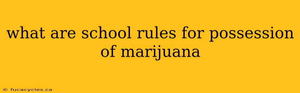 what are school rules for possession of marijuana