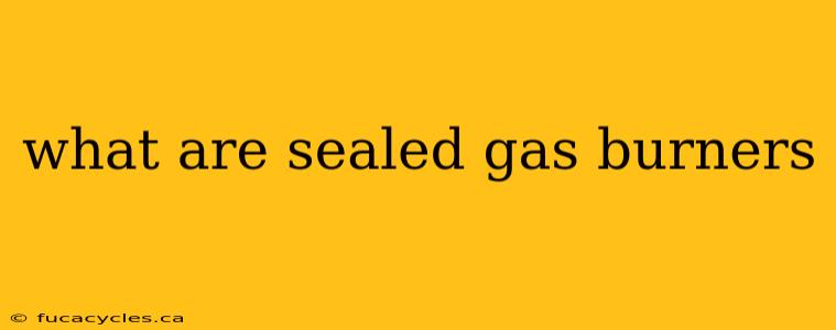 what are sealed gas burners