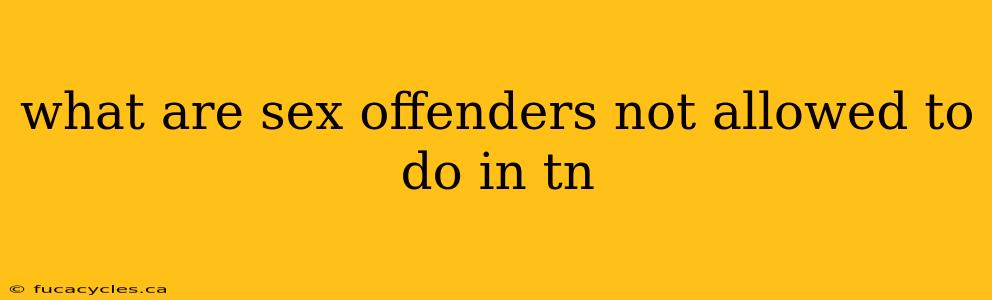 what are sex offenders not allowed to do in tn