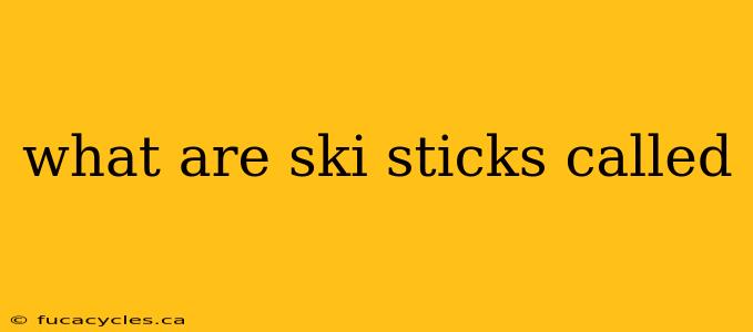 what are ski sticks called