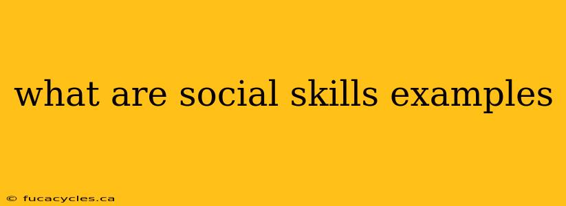 what are social skills examples