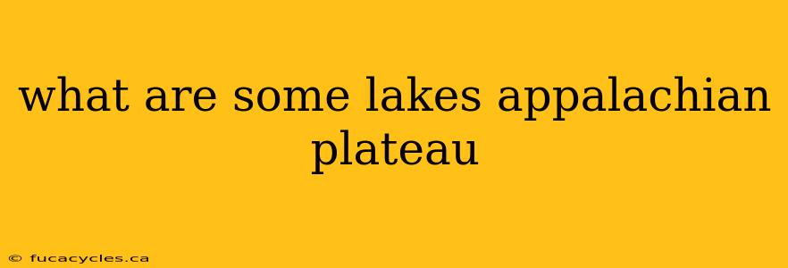 what are some lakes appalachian plateau