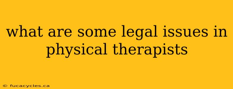 what are some legal issues in physical therapists