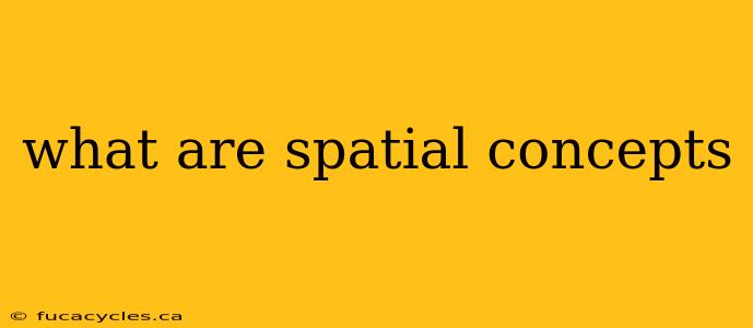 what are spatial concepts