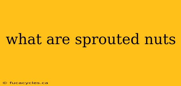 what are sprouted nuts